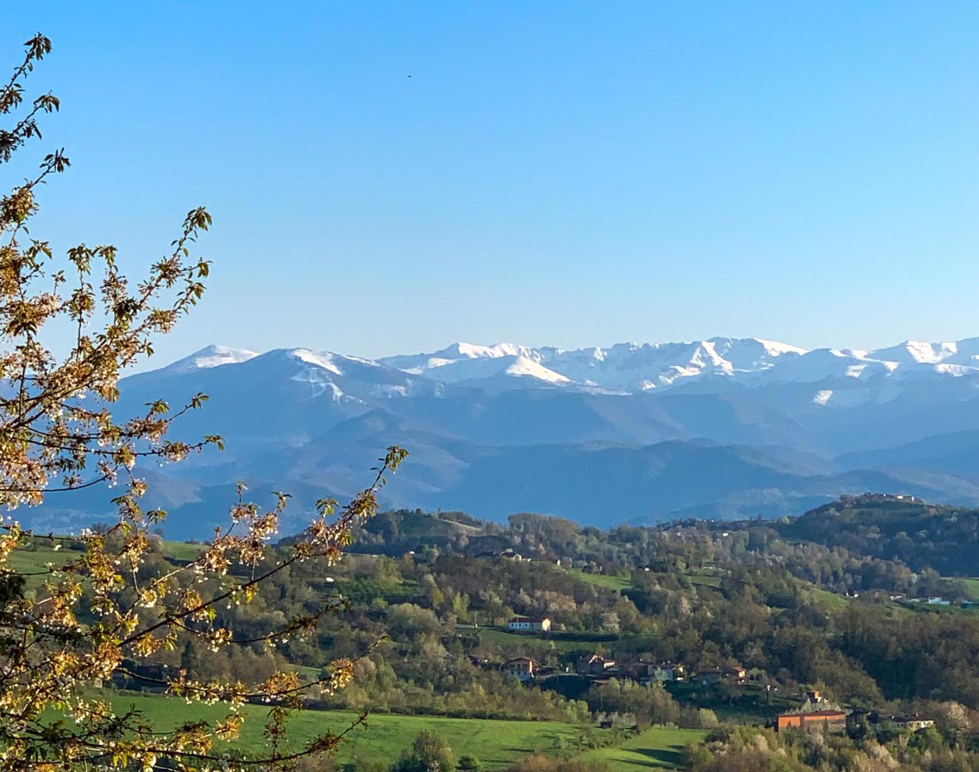 ノヴェッロ Just Langhe Casa Baroloヴィラ エクステリア 写真