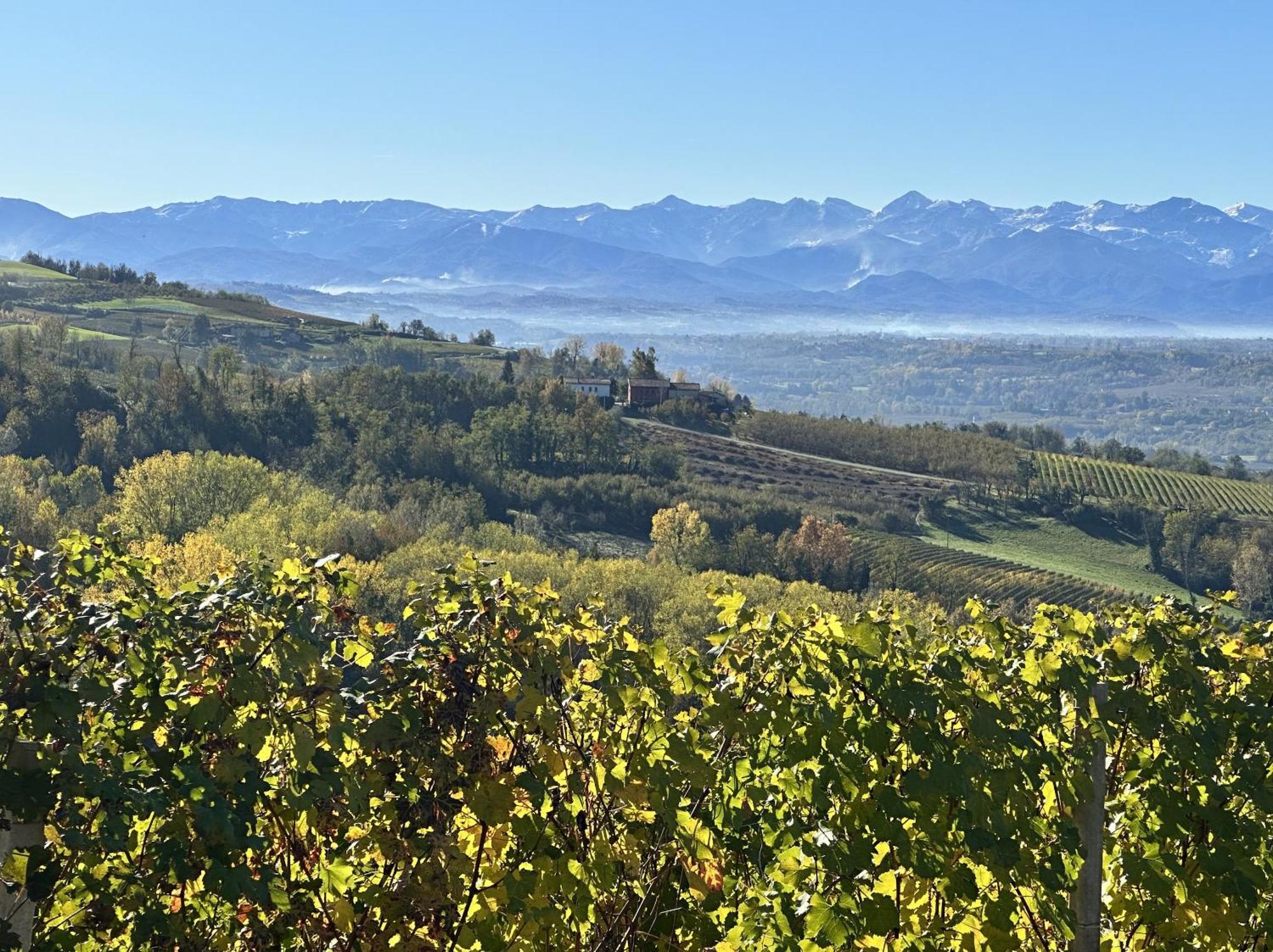 ノヴェッロ Just Langhe Casa Baroloヴィラ エクステリア 写真