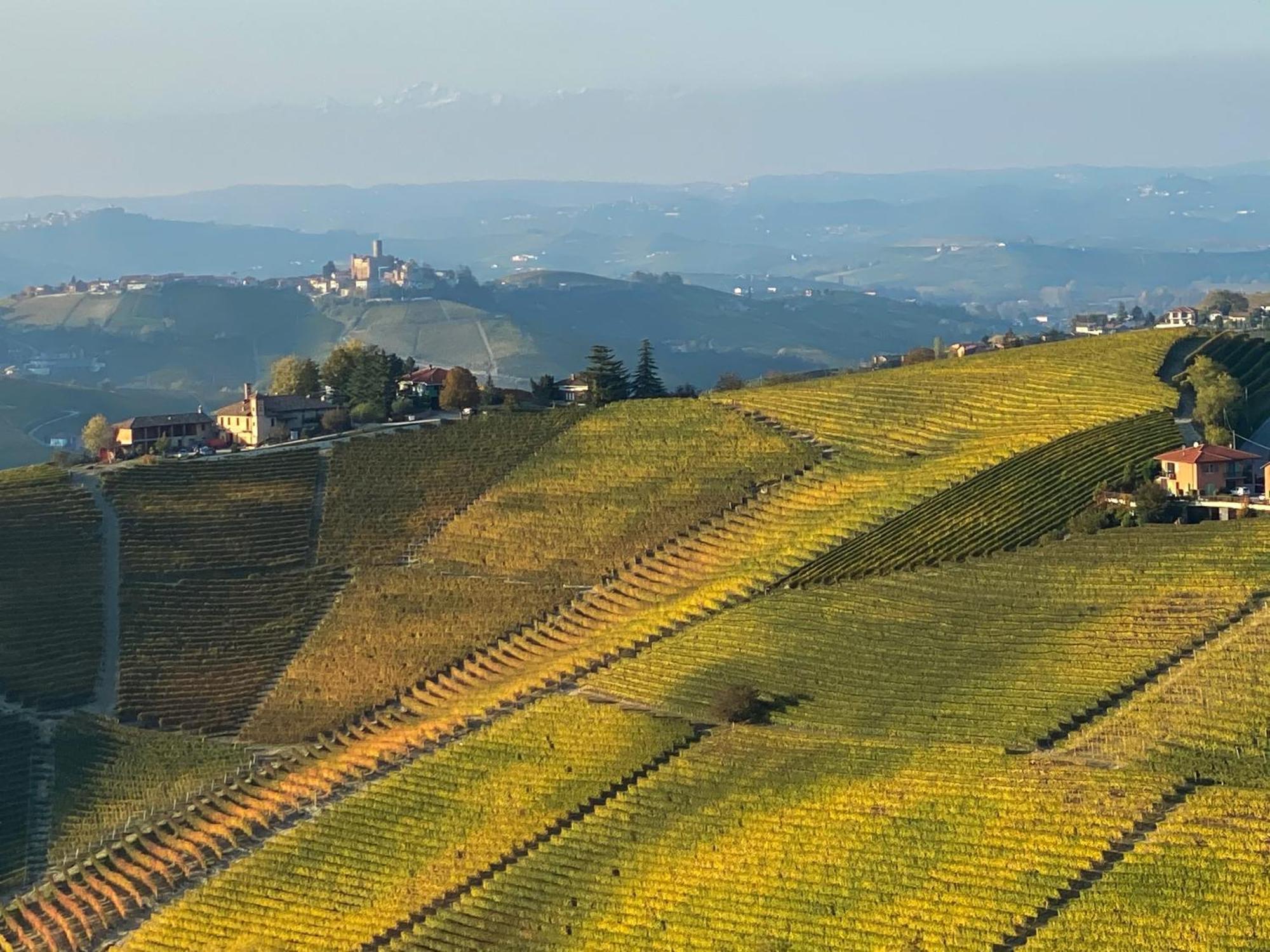 ノヴェッロ Just Langhe Casa Baroloヴィラ エクステリア 写真