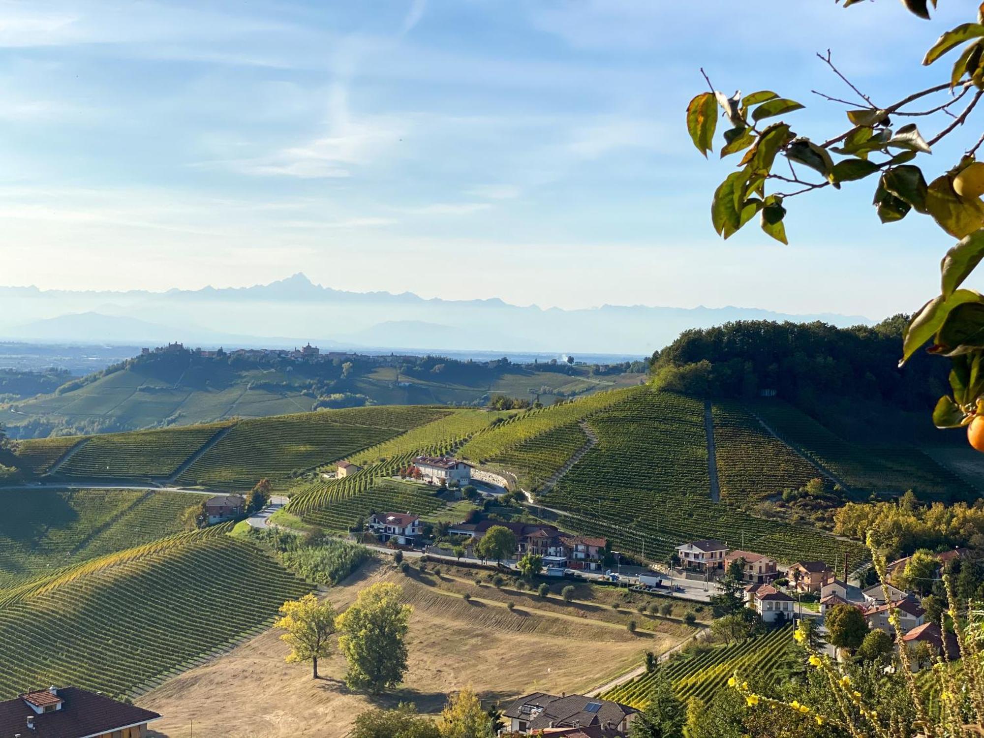 ノヴェッロ Just Langhe Casa Baroloヴィラ エクステリア 写真