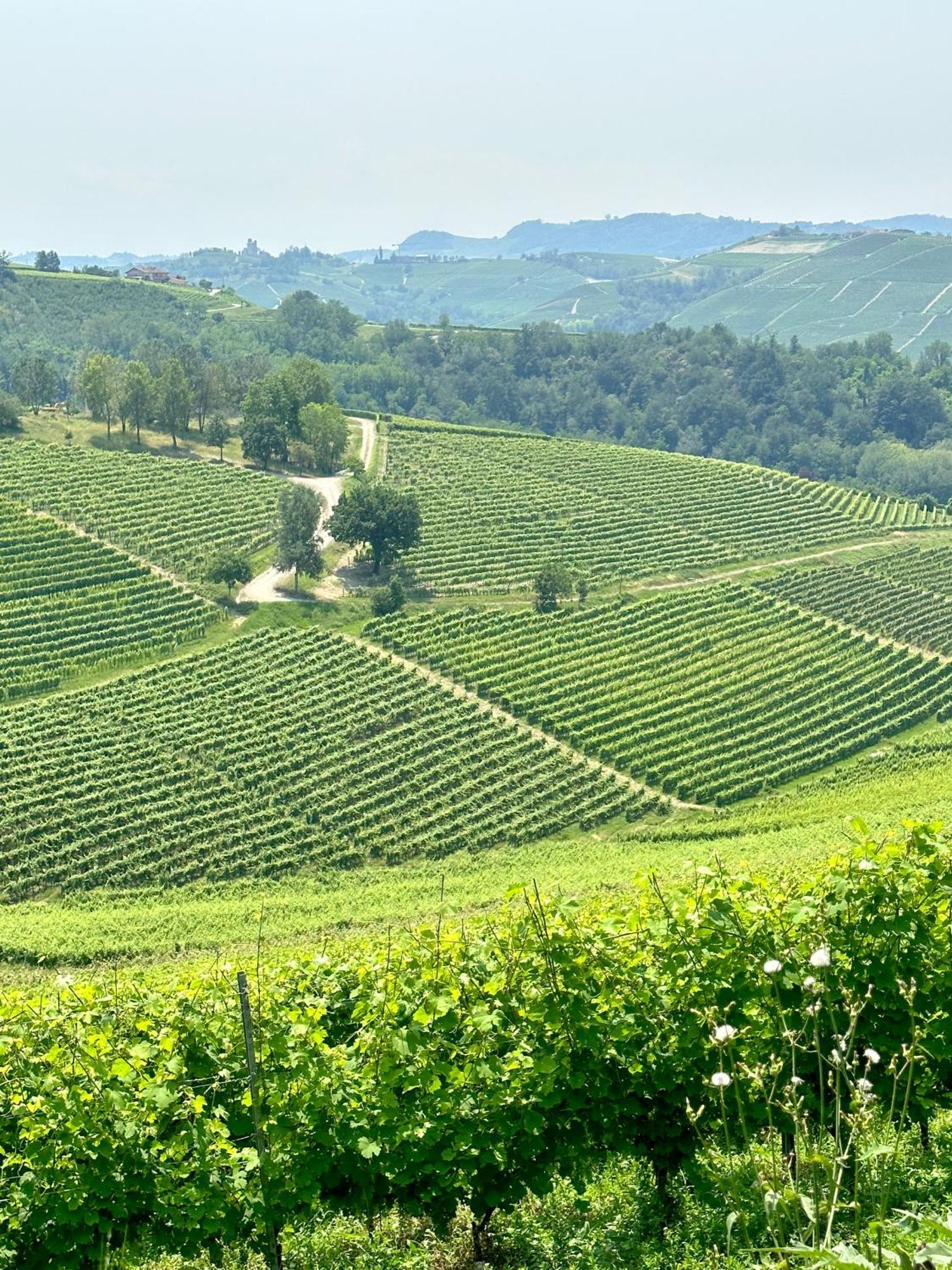 ノヴェッロ Just Langhe Casa Baroloヴィラ エクステリア 写真