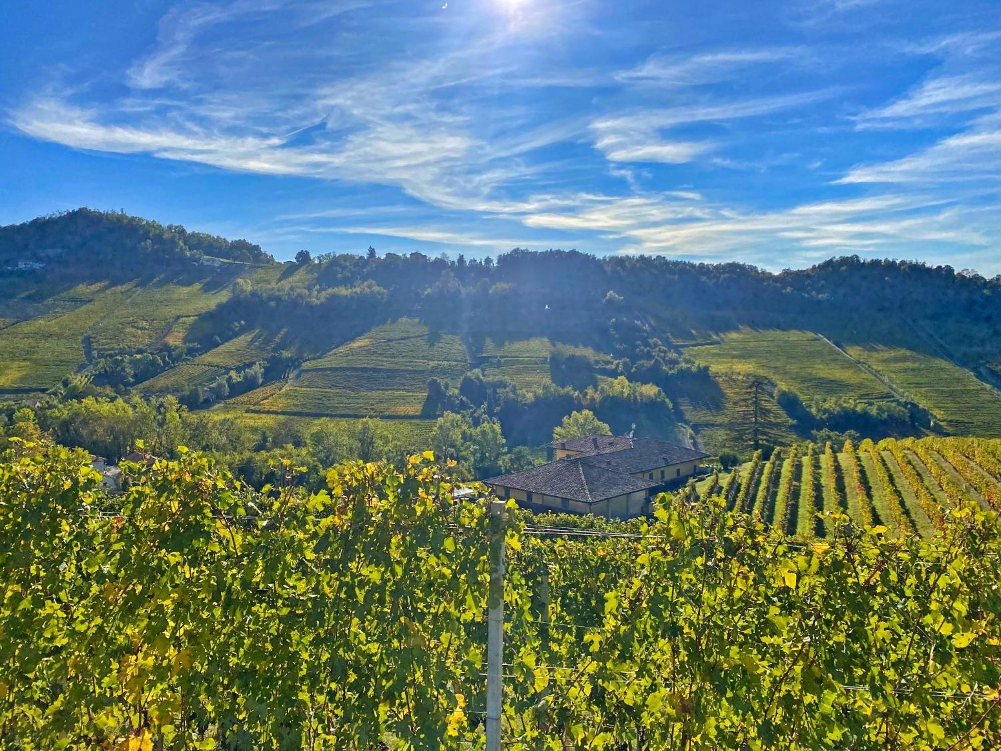 ノヴェッロ Just Langhe Casa Baroloヴィラ エクステリア 写真